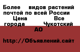 Более200 видов растений почтой по всей России › Цена ­ 100-500 - Все города  »    . Чукотский АО